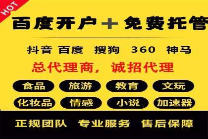 百度竞价策略成功案例：如何做到日赚千元